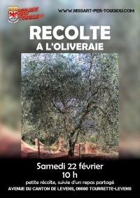 Samedi 22 février, 10h, Tourrette-Levens  Récolte à l&#039;Oliveraie